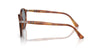 Persol PO3285S Terra Di Siena/Light Blue #colour_terra-di-siena-light-blue