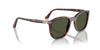 Persol PO3355S Havana/Green #colour_havana-green