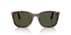 Persol PO3355S Havana/Green #colour_havana-green
