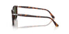Persol PO3355S Havana/Green #colour_havana-green