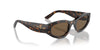 Vogue Eyewear VO5585S Dark Havana/Dark Brown #colour_dark-havana-dark-brown