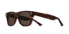 #colour_dark-turtle-brown
