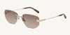 #colour_champagne-tortoise-brown