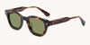 #colour_medium-tortoise-24k-gold-solid-green-g15