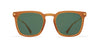 #colour_dark-brown-polarised-green