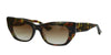 DITA Redeemer DTS530 Dark Tortoise/Brown #colour_dark-tortoise-brown