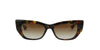 DITA Redeemer DTS530 Dark Tortoise/Brown #colour_dark-tortoise-brown
