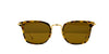 Thom Browne TBS905 Dark Tortoise/Brown #colour_dark-tortoise-brown