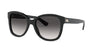 Ralph Lauren RL8180 Shiny Black/Gradient Grey #colour_shiny-black-gradient-grey