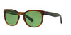 Polo Ralph Lauren PH4099 Wimbledon Edition Dark Tortoise/Green #colour_dark-tortoise-green