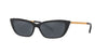 Ralph Lauren RL8173 Black/Silver Mirror #colour_black-silver-mirror