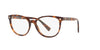 Versace VE3256 Dark Tortoise #colour_dark-tortoise