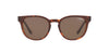Vogue VO5271S Dark Tortoise/Brown #colour_dark-tortoise-brown