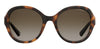 Polaroid PLD4073/S Dark Tortoise/Brown Polarised #colour_dark-tortoise-brown-polarised