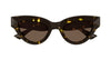Bottega Venata 1249S Havana-Brown #colour_havana-brown