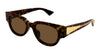 #colour_havana-brown