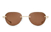 #colour_gold-sand-land-brown-polarised