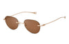 #colour_gold-sand-land-brown-polarised