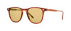 #colour_vintage-burnt-tortoise-pure-maple