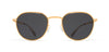 #colour_glossy-gold-dark-grey-solid