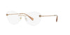 Versace VE1248B Brown #colour_brown