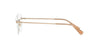 Versace VE1248B Brown #colour_brown