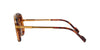 Cutler and Gross 1323 Gold/Brown #colour_gold-brown
