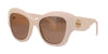 Gucci GG0808S White/Brown #colour_white-brown