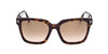 Tom Ford Selby TF952 Dark Tortoise/Brown Gradient #colour_dark-tortoise-brown-gradient