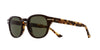 Cutler and Gross 1356 SUN Black/Green #colour_black-green