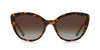 Kate Spade Amberlee/S Havana/Polarised Brown Gradient #colour_havana-polarised-brown-gradient