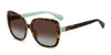 Kate Spade Wilhemina/S Havana-Blue/Polarised Brown Gradient #colour_havana-blue-polarised-brown-gradient