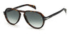 David Beckham DB7079/S Havana/Grey Gradient #colour_havana-grey-gradient