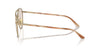 Giorgio Armani AR6156 Matte Pale Gold/Brown Photochromic #colour_matte-pale-gold-brown-photochromic