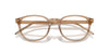 Giorgio Armani AR7259 Transparent Brown #colour_transparent-brown