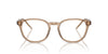 Giorgio Armani AR7259 Transparent Brown #colour_transparent-brown
