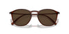 Giorgio Armani AR8186U Transparent Brown/Light To Dark Brown Photochromic #colour_transparent-brown-light-to-dark-brown-photochromic