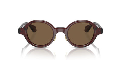 Giorgio Armani AR8205 Transparent Brown/Dark Brown #colour_transparent-brown-dark-brown