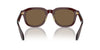 Giorgio Armani AR8206 Transparent Brown/Dark Brown #colour_transparent-brown-dark-brown