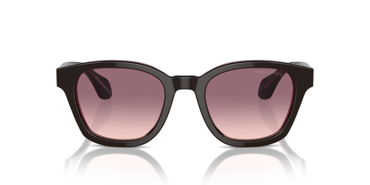 Giorgio Armani AR8207 Top Brown/Transparent Pink/Pink Violet Gradient #colour_top-brown-transparent-pink-pink-violet-gradient