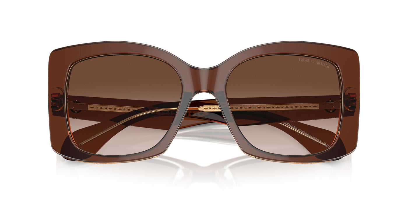 Giorgio Armani AR8208U Top Transparent Brown/Honey/Brown Gradient #colour_top-transparent-brown-honey-brown-gradient