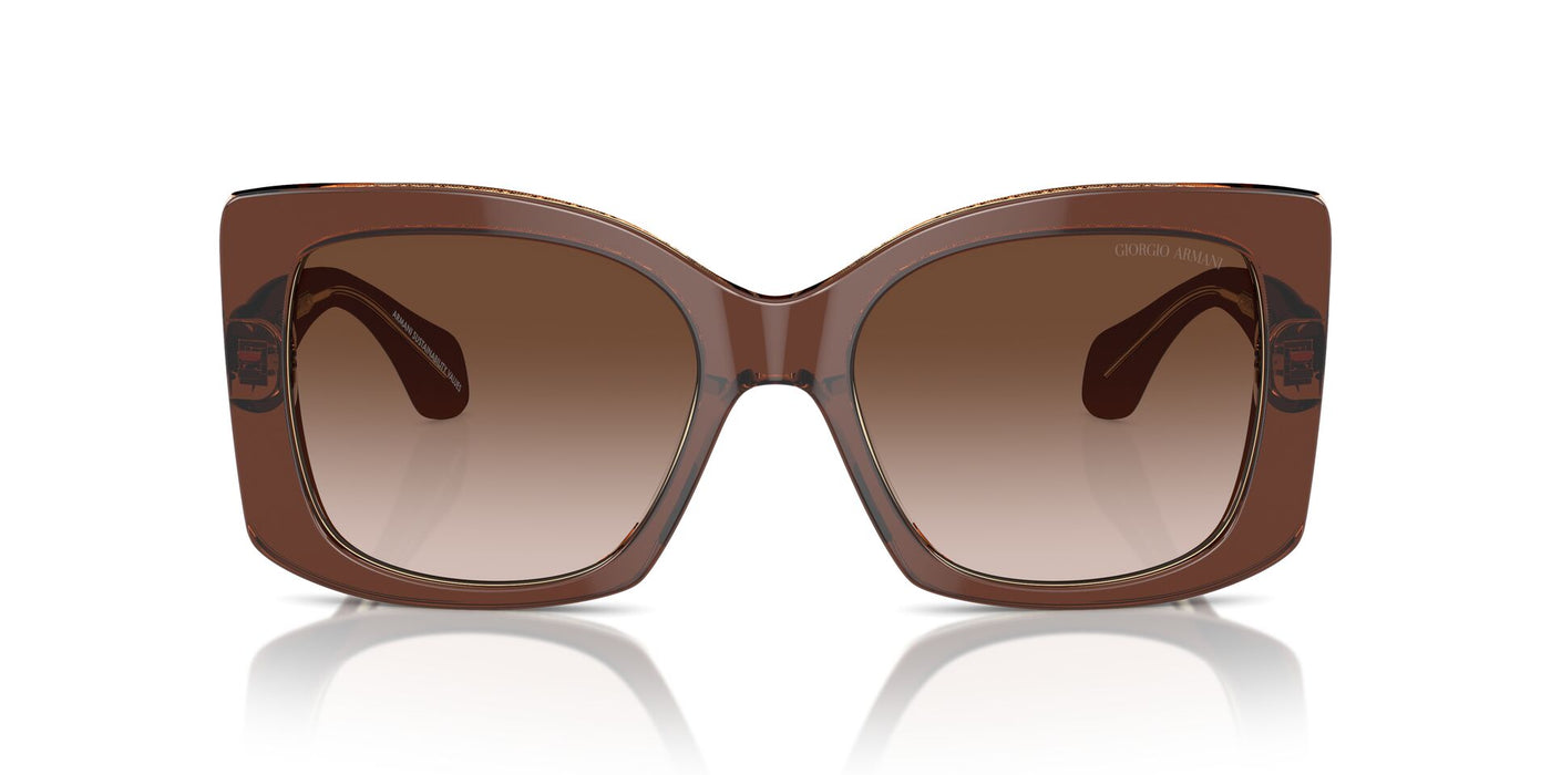 Giorgio Armani AR8208U Top Transparent Brown/Honey/Brown Gradient #colour_top-transparent-brown-honey-brown-gradient