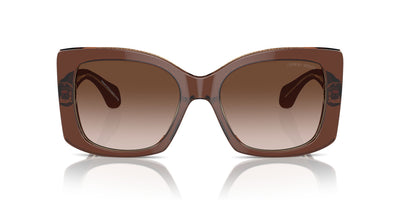 Giorgio Armani AR8208U Top Transparent Brown/Honey/Brown Gradient #colour_top-transparent-brown-honey-brown-gradient