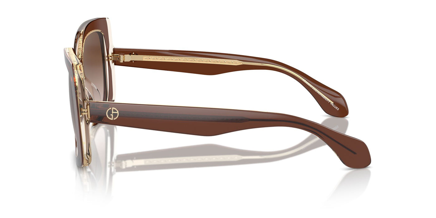 Giorgio Armani AR8208U Top Transparent Brown/Honey/Brown Gradient #colour_top-transparent-brown-honey-brown-gradient