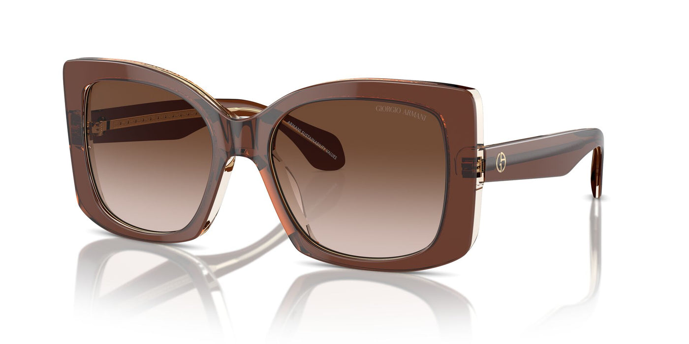 Giorgio Armani AR8208U Top Transparent Brown/Honey/Brown Gradient #colour_top-transparent-brown-honey-brown-gradient