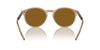 Giorgio Armani AR8211 Transparent Brown/Brown #colour_transparent-brown-brown