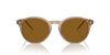 Giorgio Armani AR8211 Transparent Brown/Brown #colour_transparent-brown-brown