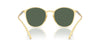 Giorgio Armani AR8233U Honey/Dark Green #colour_honey-dark-green