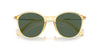 Giorgio Armani AR8233U Honey/Dark Green #colour_honey-dark-green
