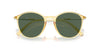 Giorgio Armani AR8233U Honey/Dark Green #colour_honey-dark-green